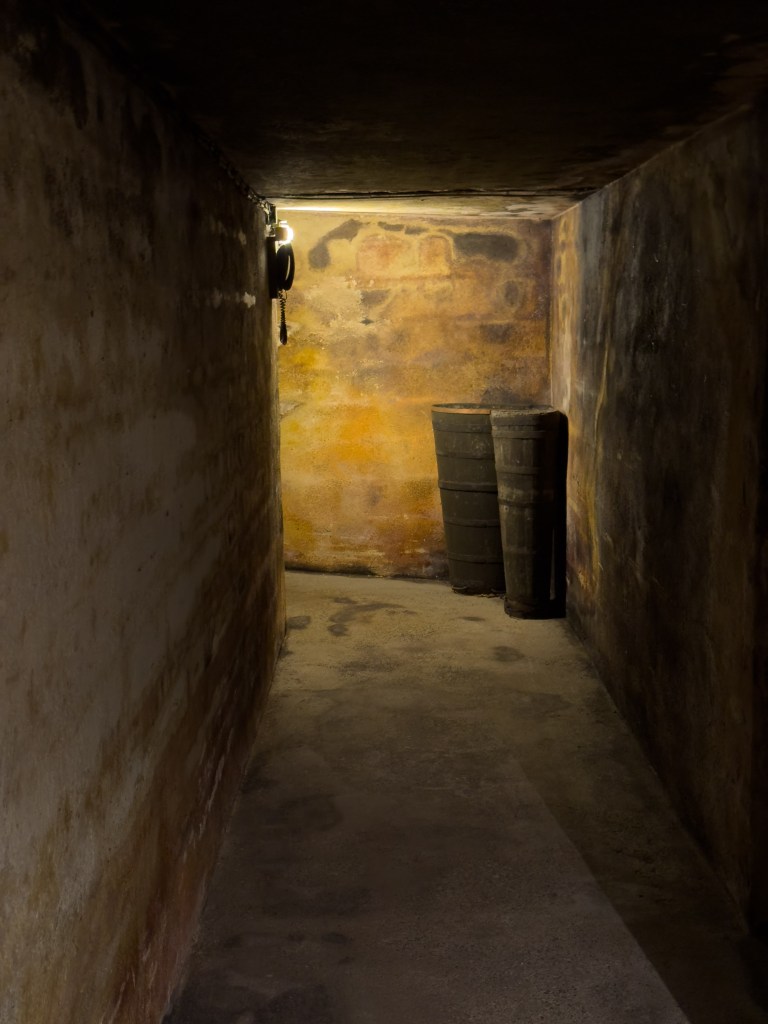 Questa immagine ha l'attributo alt vuoto; il nome del file è panigada-4360.jpg